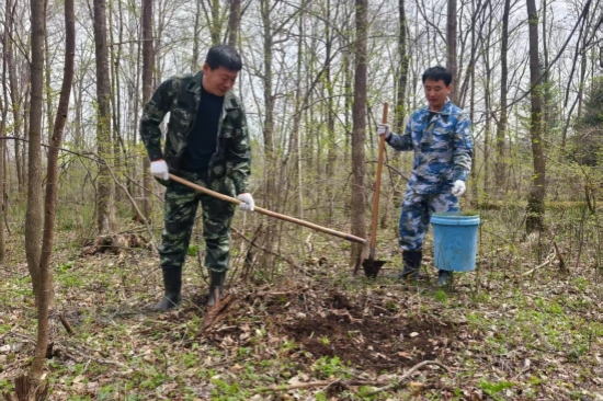 營林處：黨旗引領添新綠 植樹造林踐初心（2）.jpg